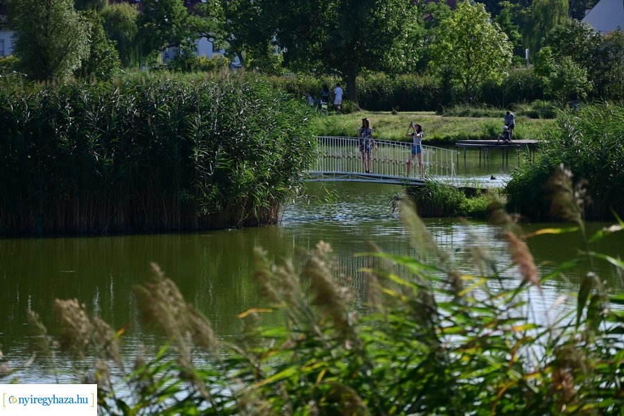 Bujtosi Városliget 20240729
