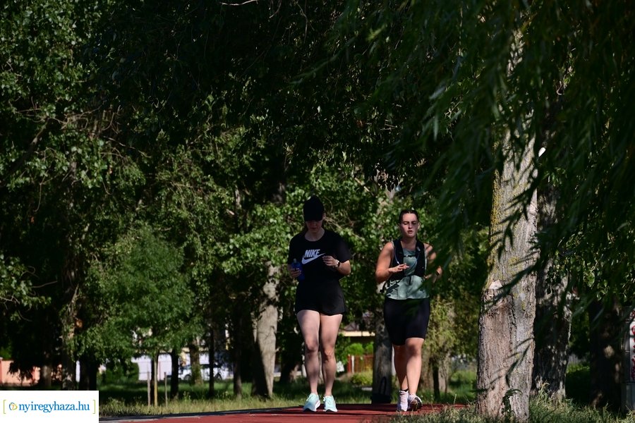 Bujtosi Városliget 20240729