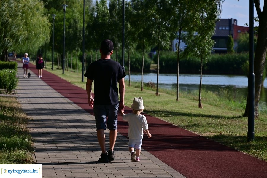 Bujtosi Városliget 20240729