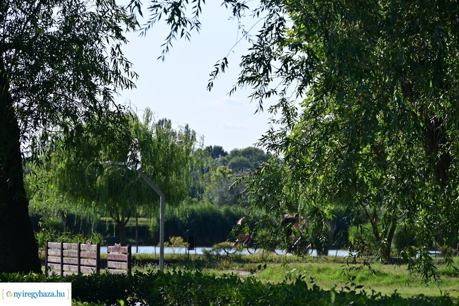Bujtosi Városliget 20240729