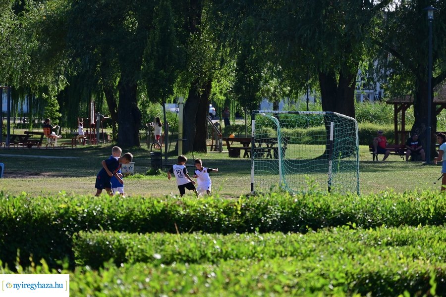 Bujtosi Városliget 20240729