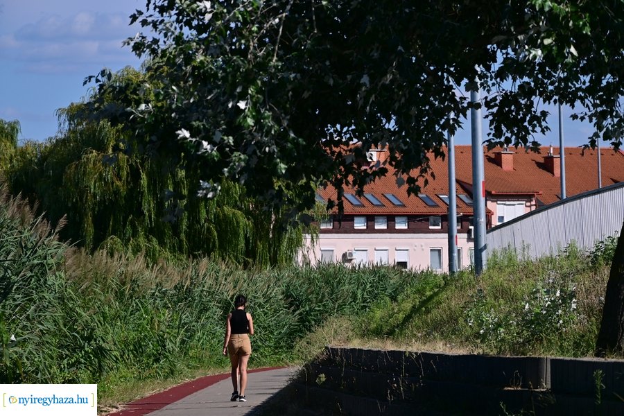 Bujtosi Városliget 20240729