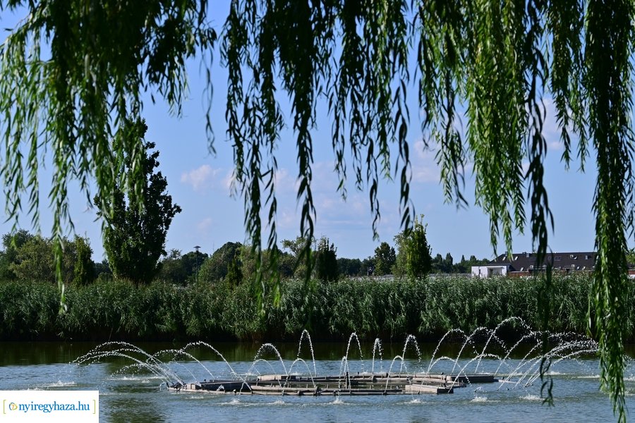 Bujtosi Városliget 20240729