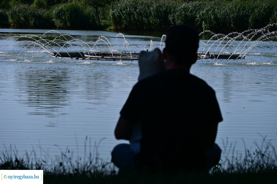 Bujtosi Városliget 20240729