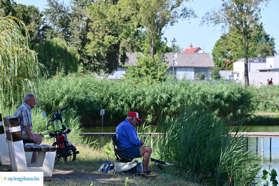 Bujtosi Városliget 20240729