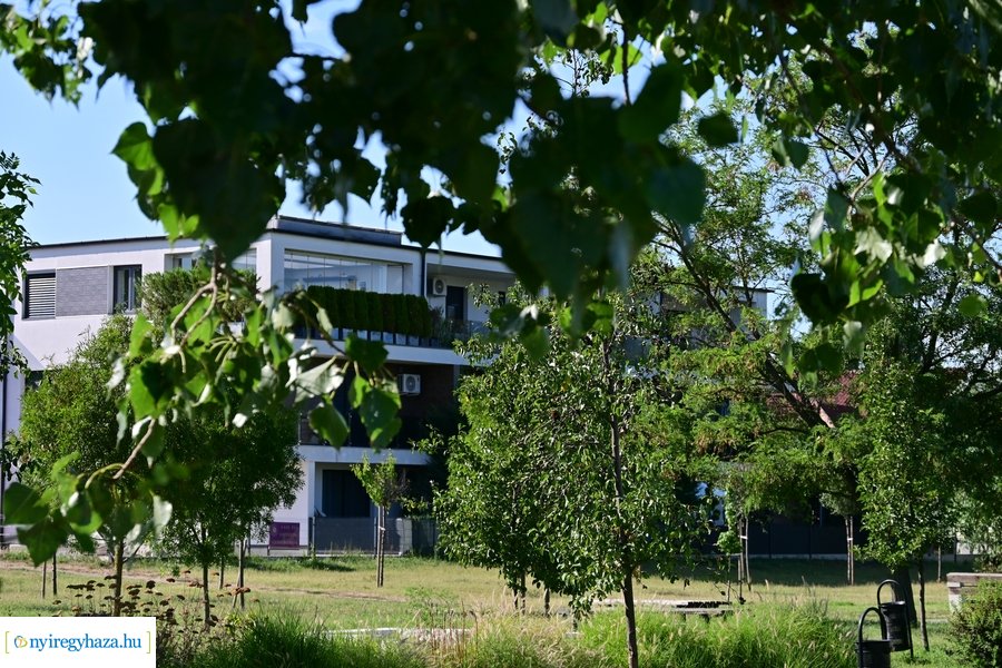 Bujtosi Városliget 20240729