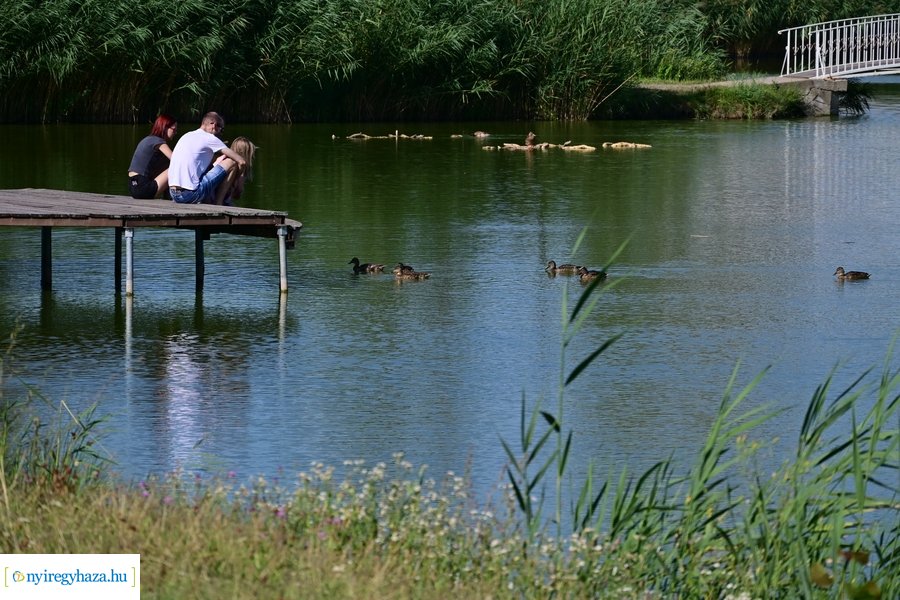 Bujtosi Városliget 20240729