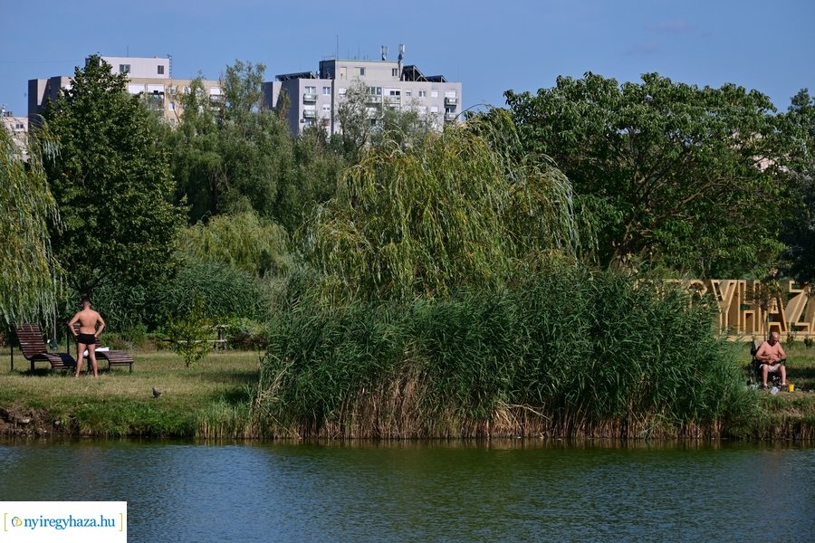 Bujtosi Városliget 20240729