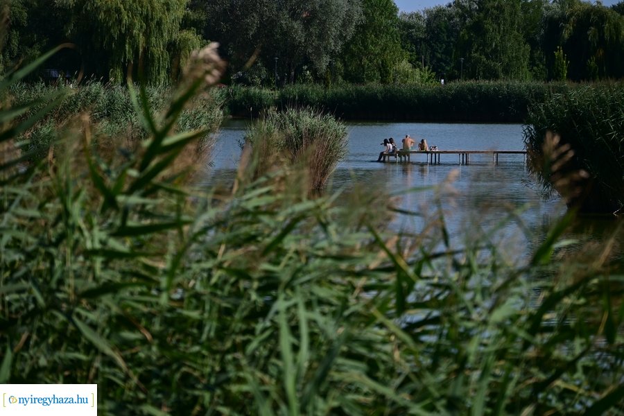 Bujtosi Városliget 20240729