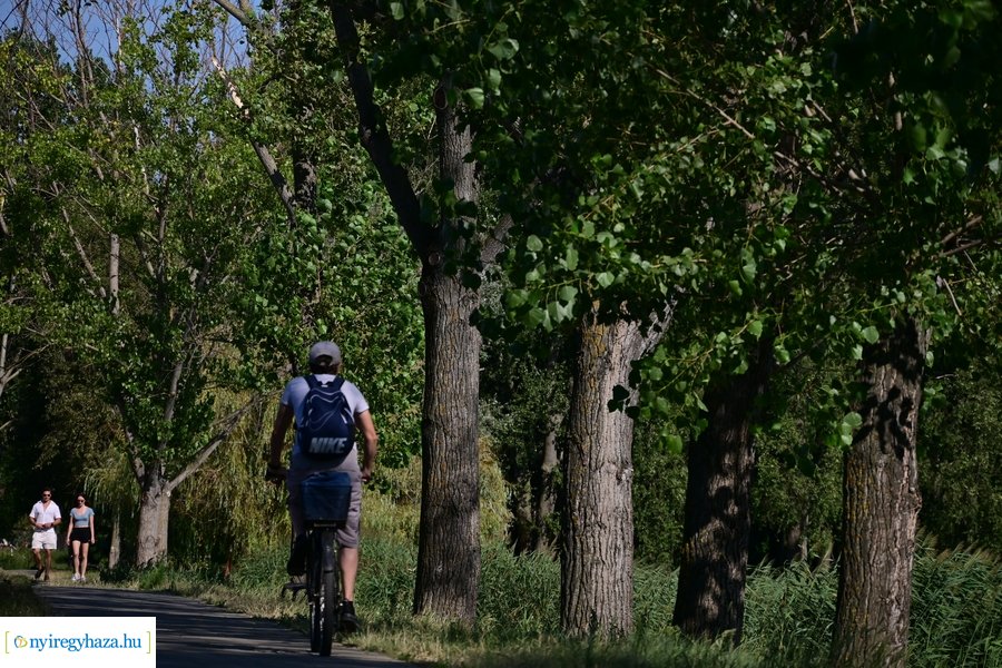 Bujtosi Városliget 20240729