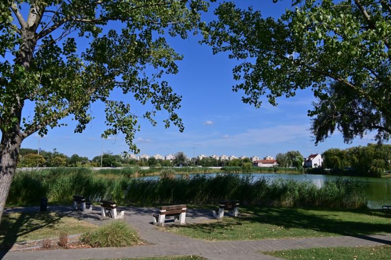 Bujtosi Városliget 20240729