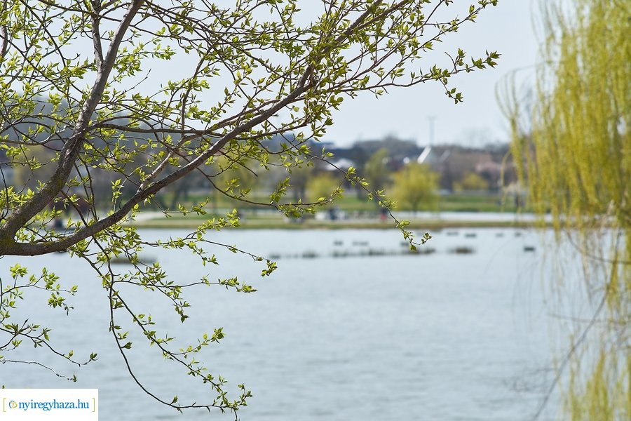 Bujtosi vasárnap 2021 04 11