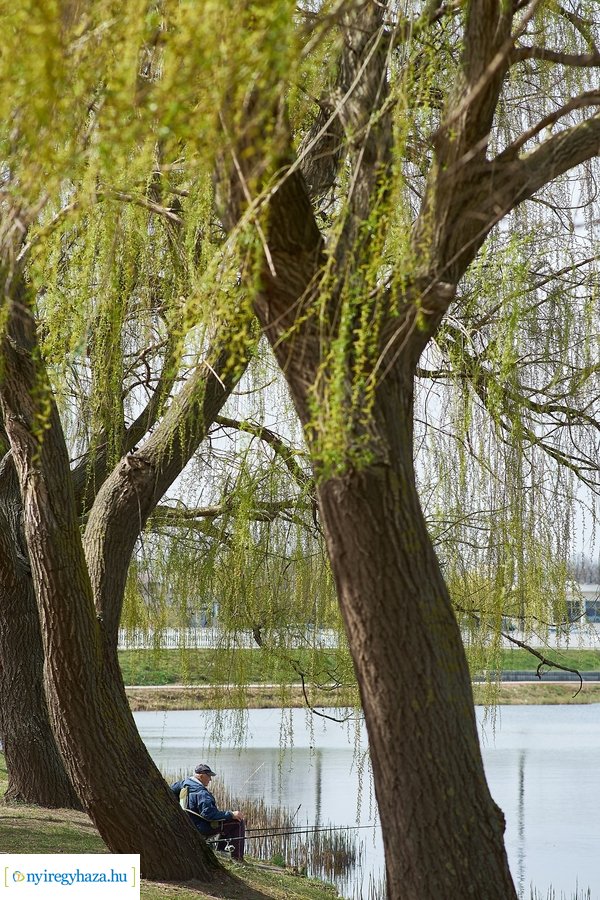 Bujtosi vasárnap 2021 04 11