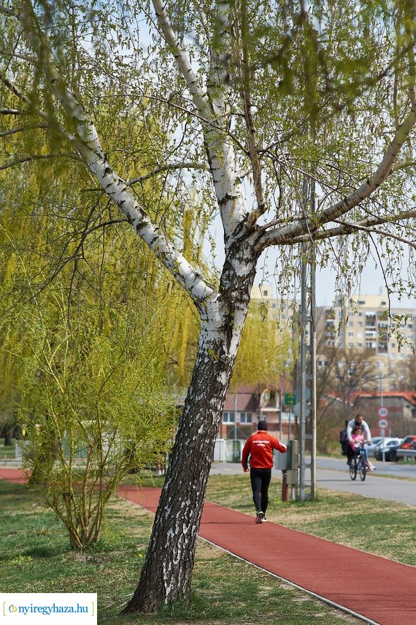 Bujtosi vasárnap 2021 04 11