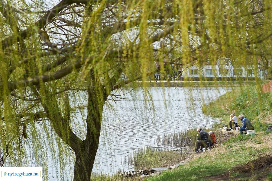 Bujtosi vasárnap 2021 04 11