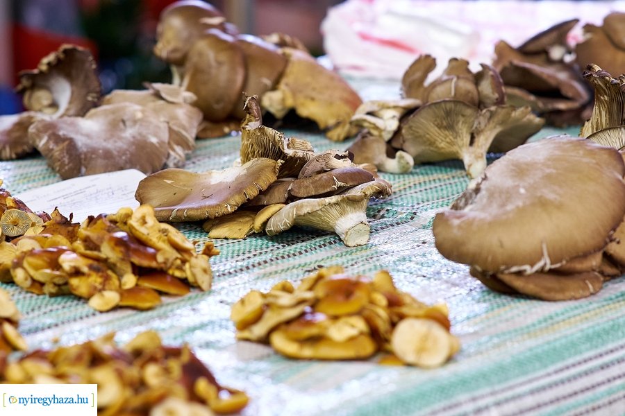 Búza téri piac 20201209