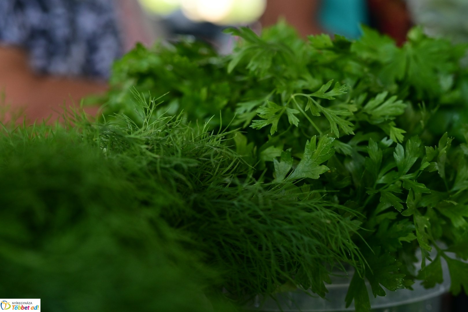 Búza téri piac 2025 júliusában