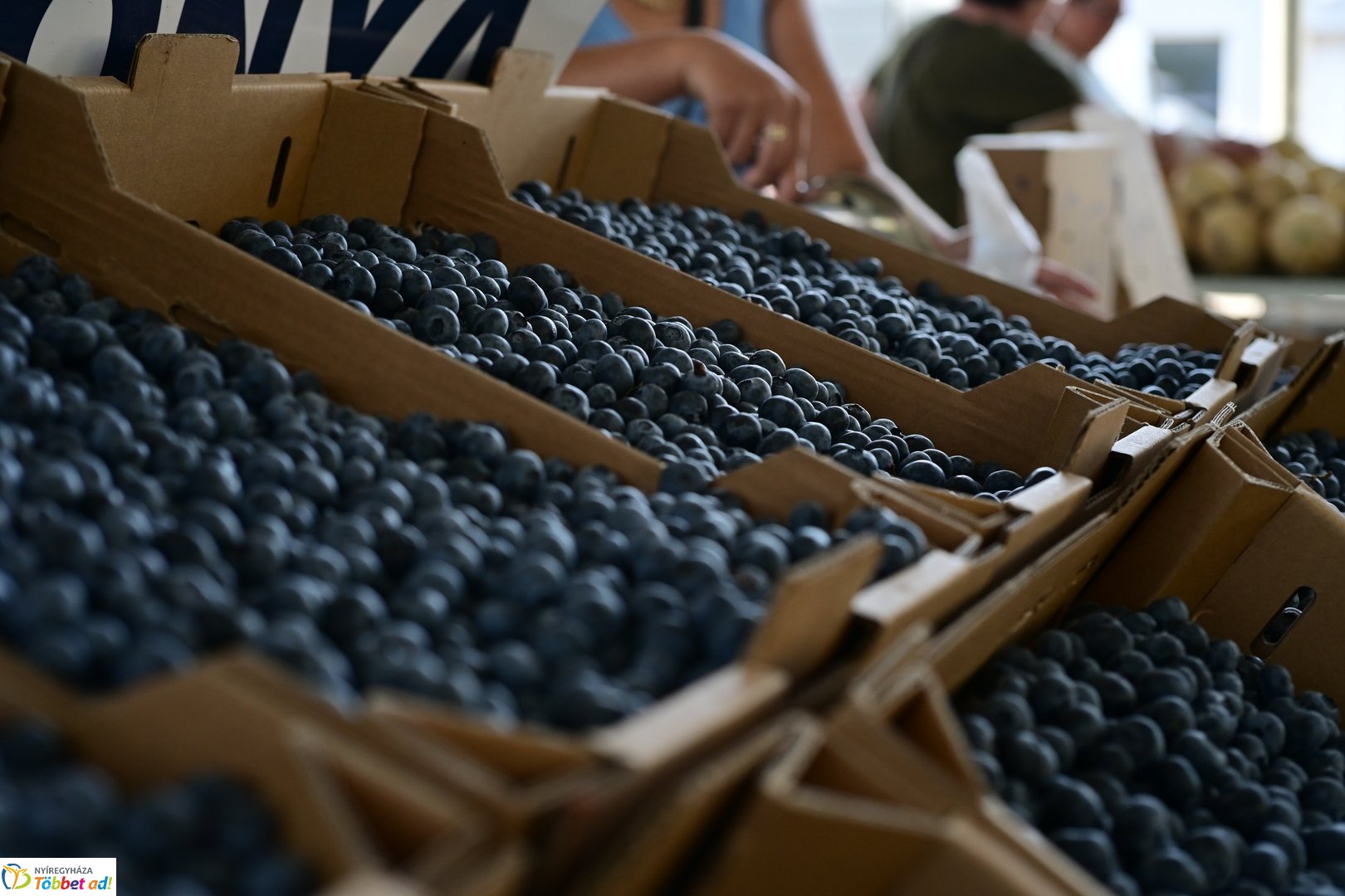 Búza téri piac 2025 júliusában