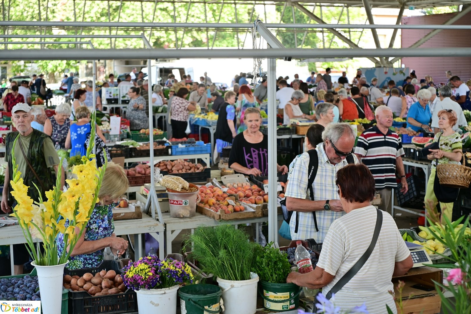 Búza téri piac 2025 júliusában