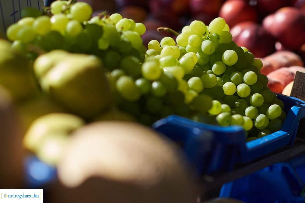 Búza téri piaccsarnok 20200715