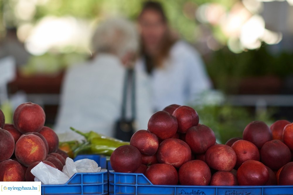 Búza téri piaccsarnok 20200715