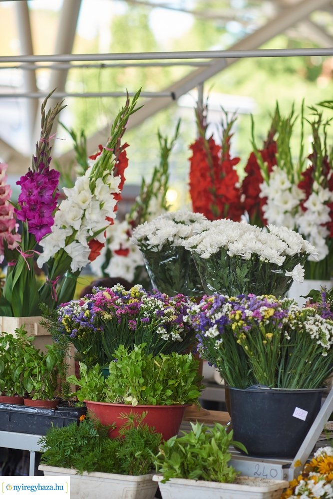 Búza téri piaccsarnok 20200715