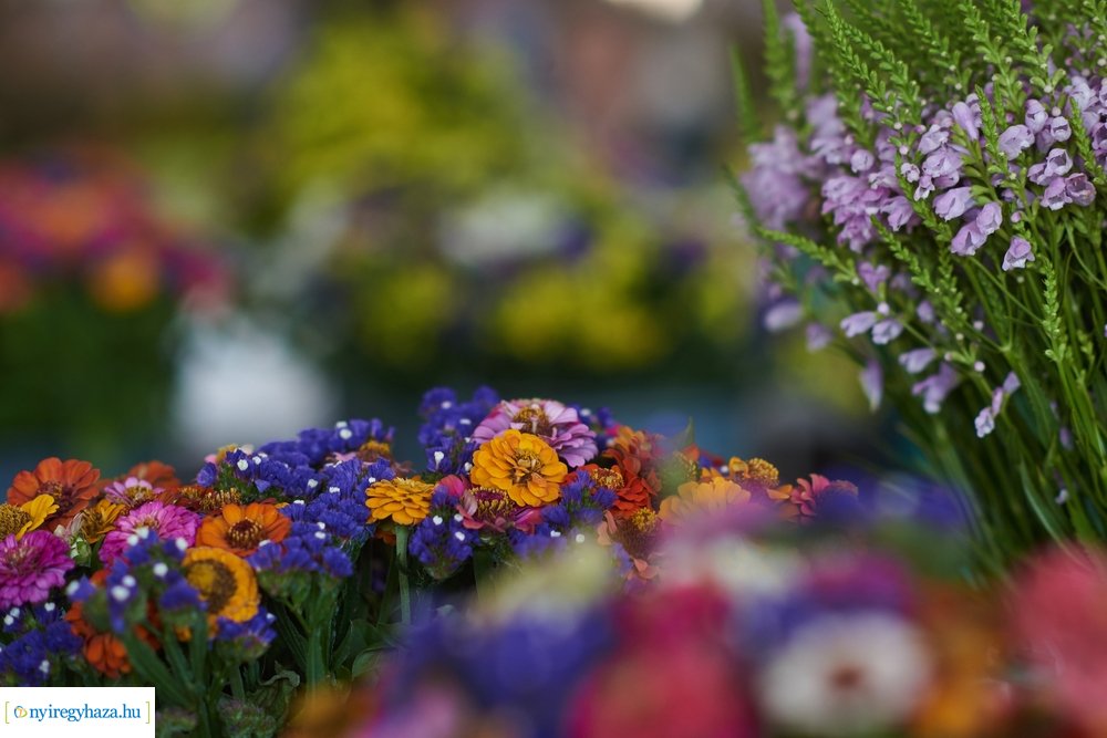 Búza téri piaccsarnok 20200715