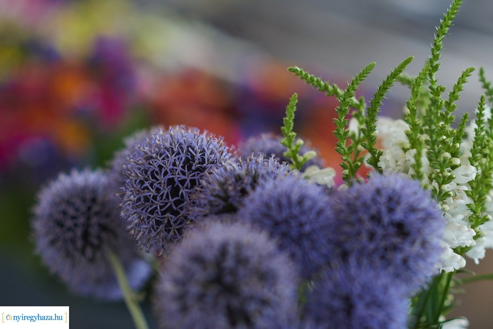 Búza téri piaccsarnok 20200715