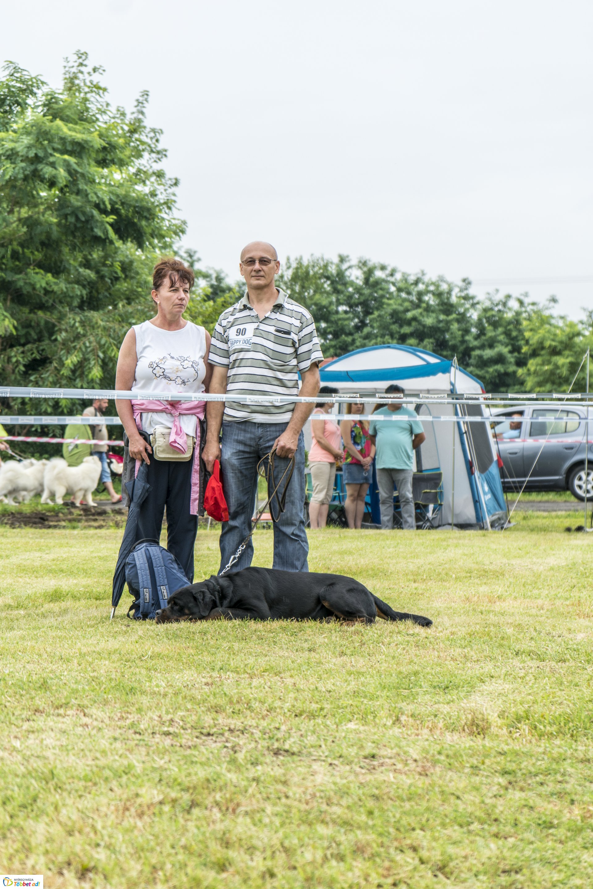CAC Kutyakiállítás