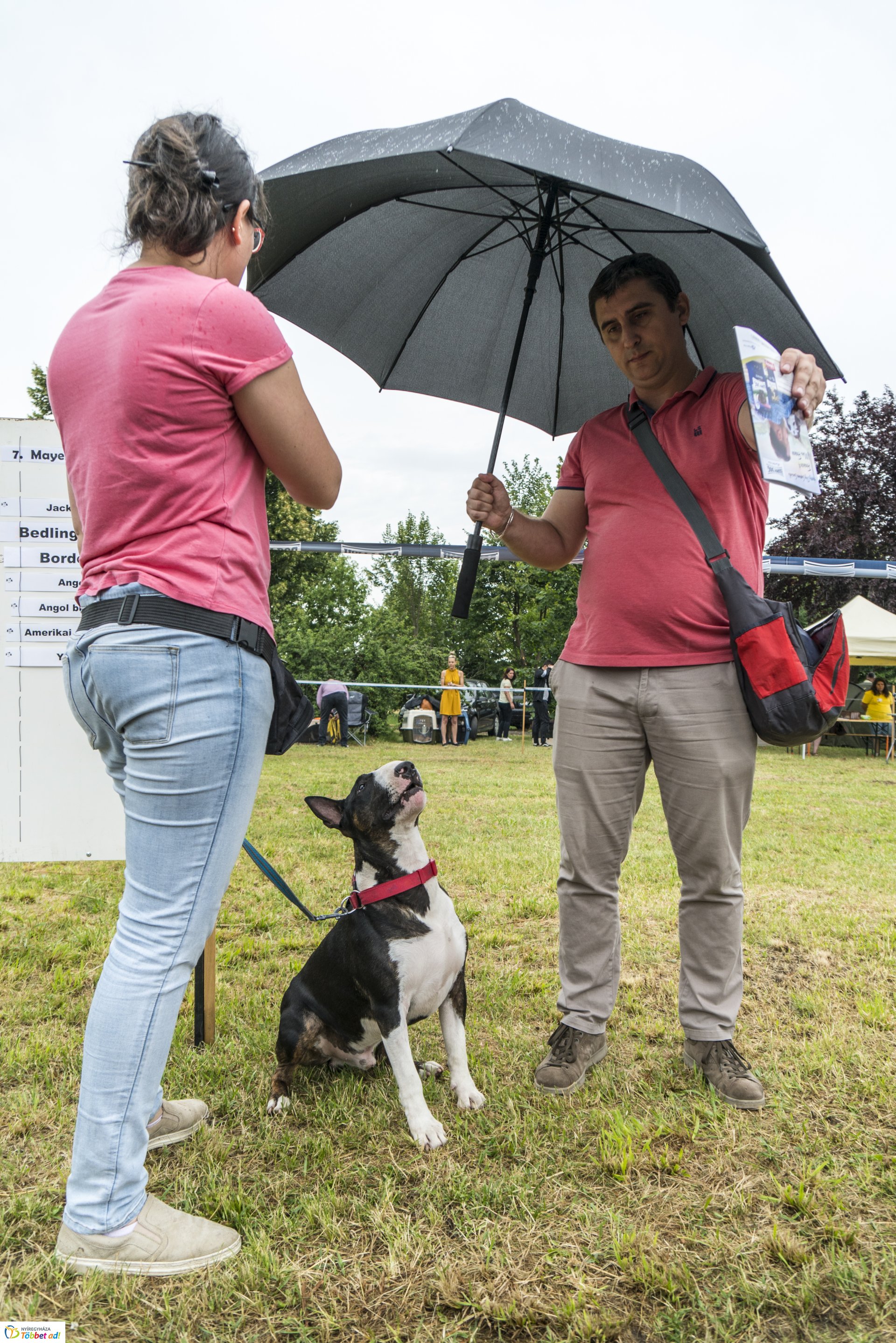 CAC Kutyakiállítás