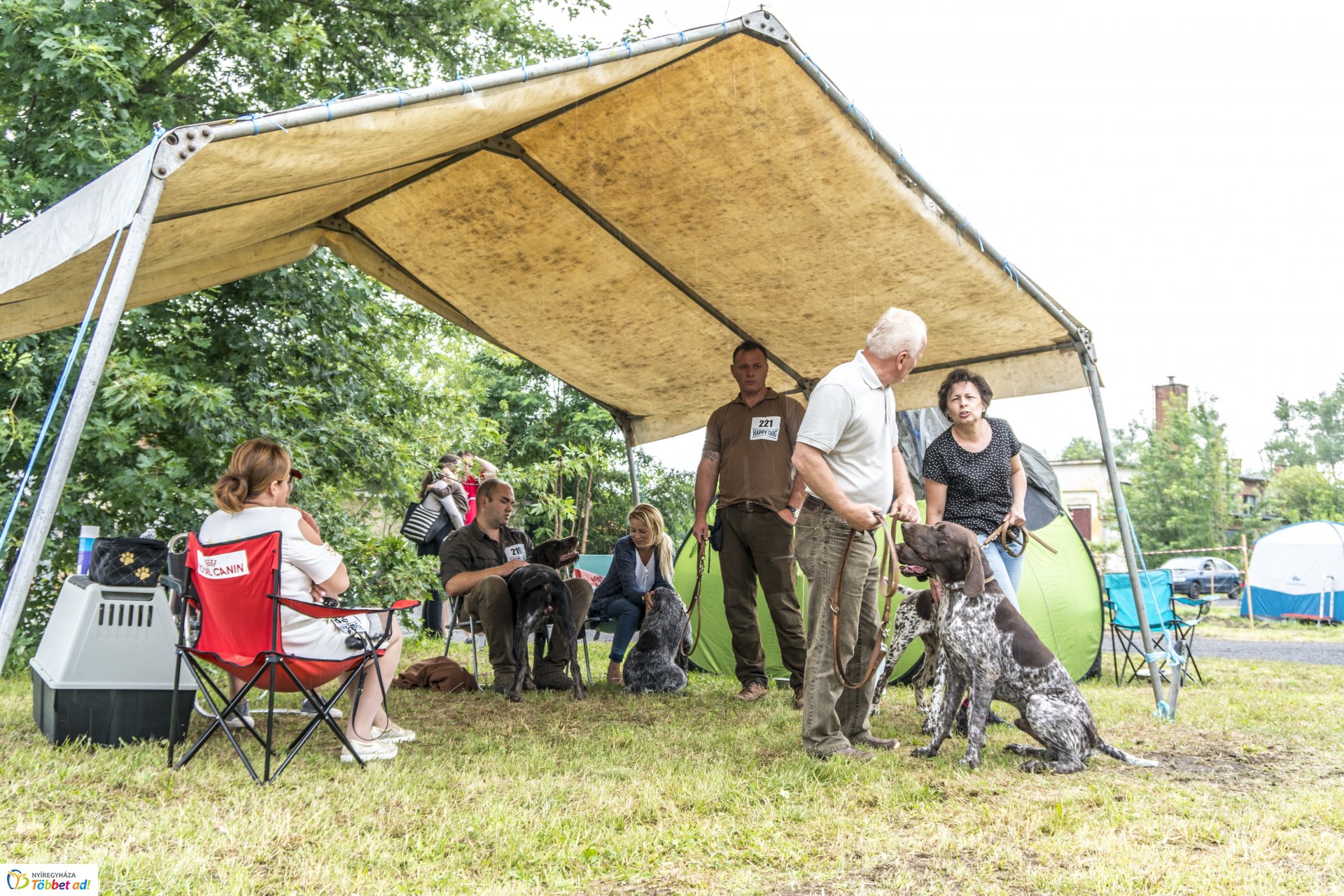 CAC Kutyakiállítás