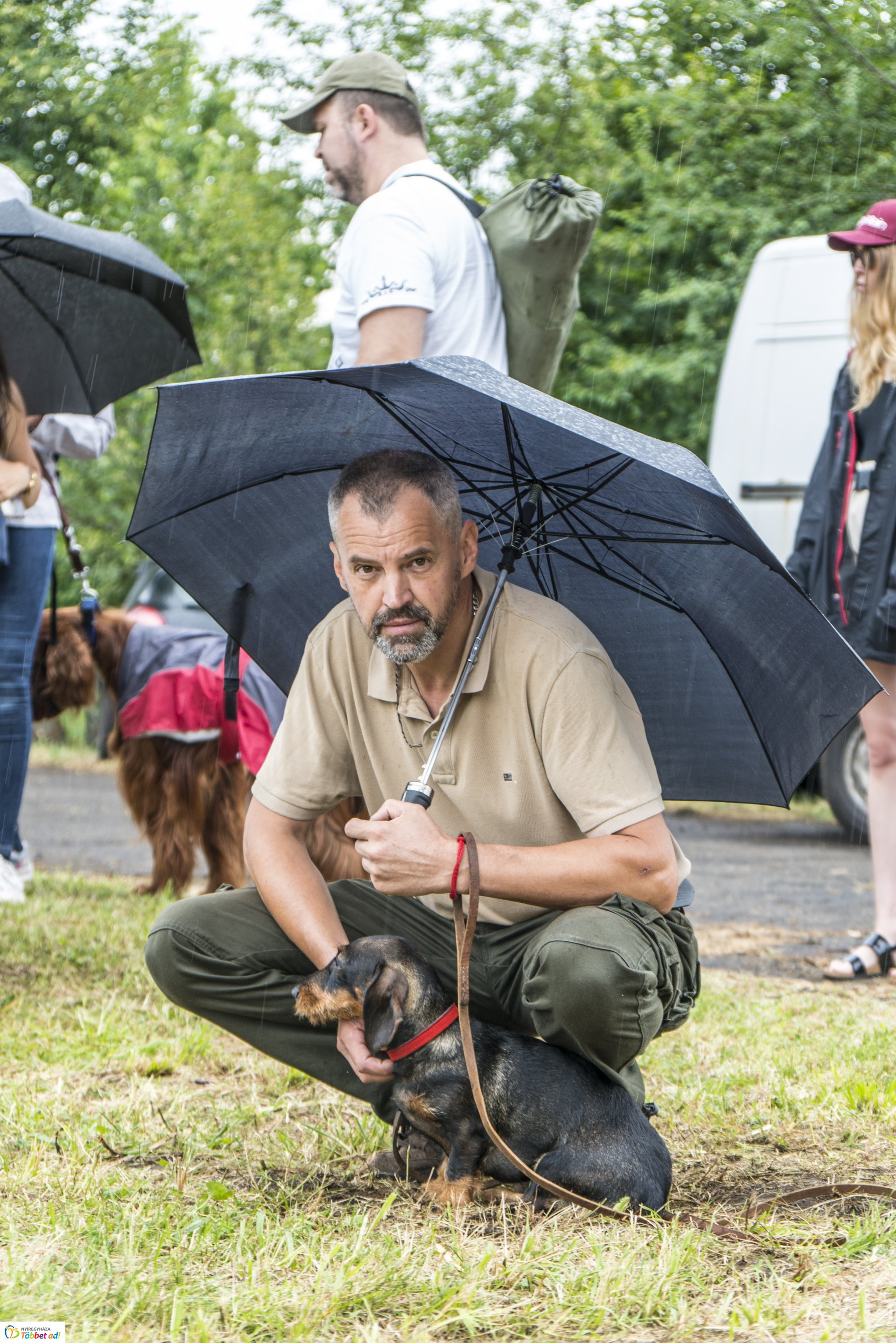 CAC Kutyakiállítás