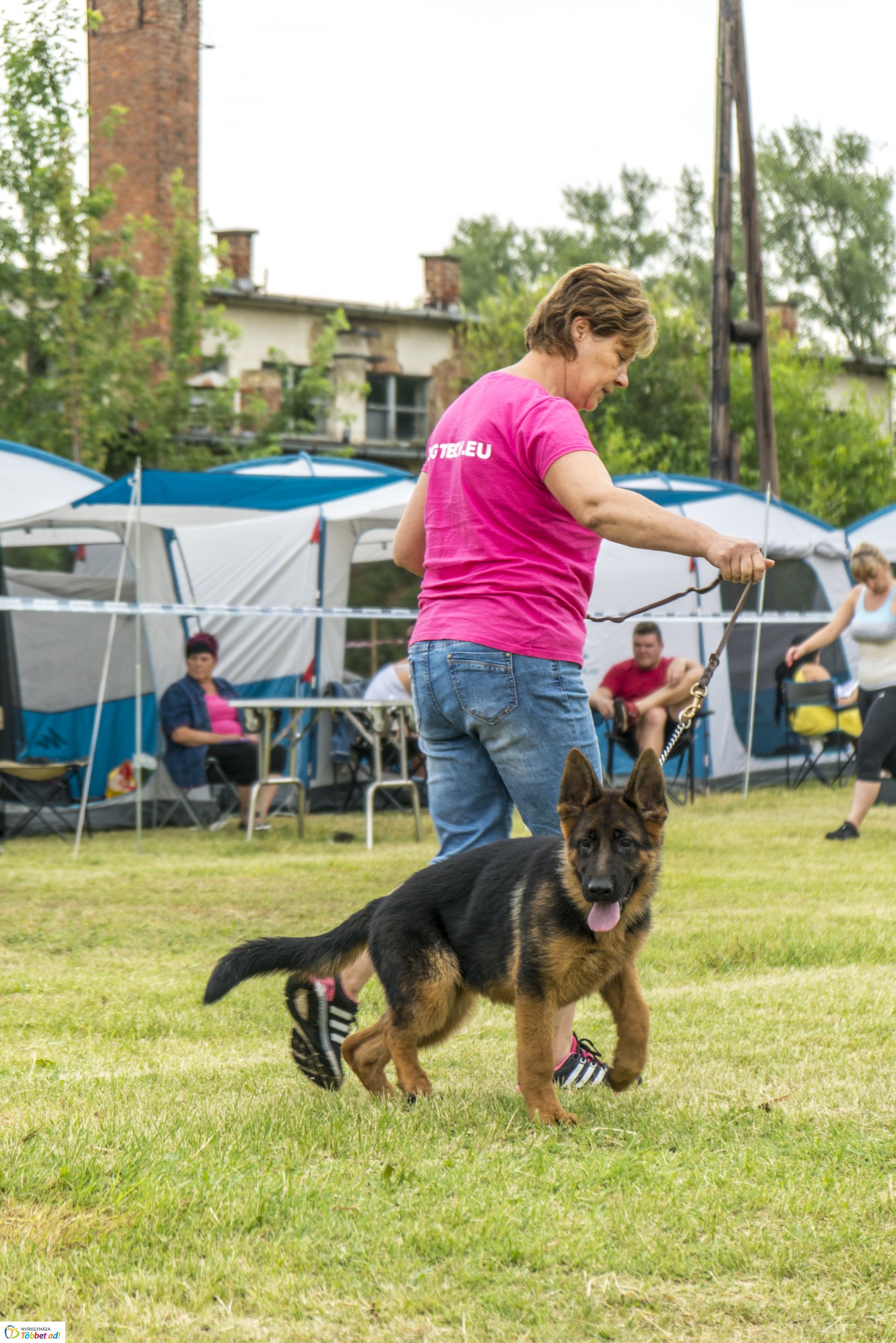 CAC Kutyakiállítás