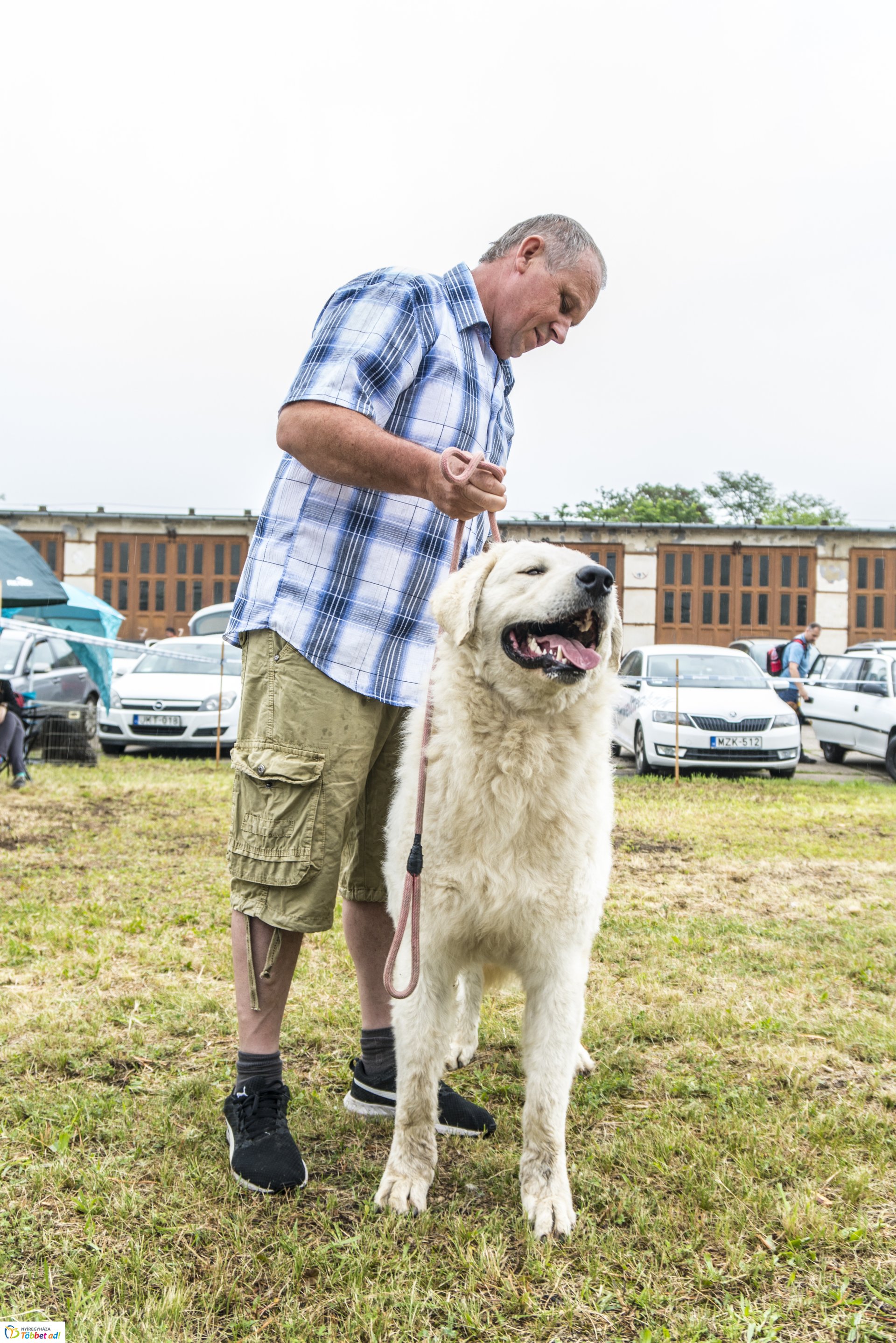 CAC Kutyakiállítás