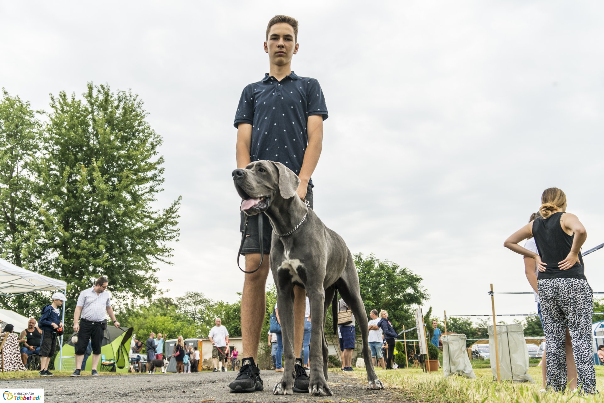 CAC Kutyakiállítás