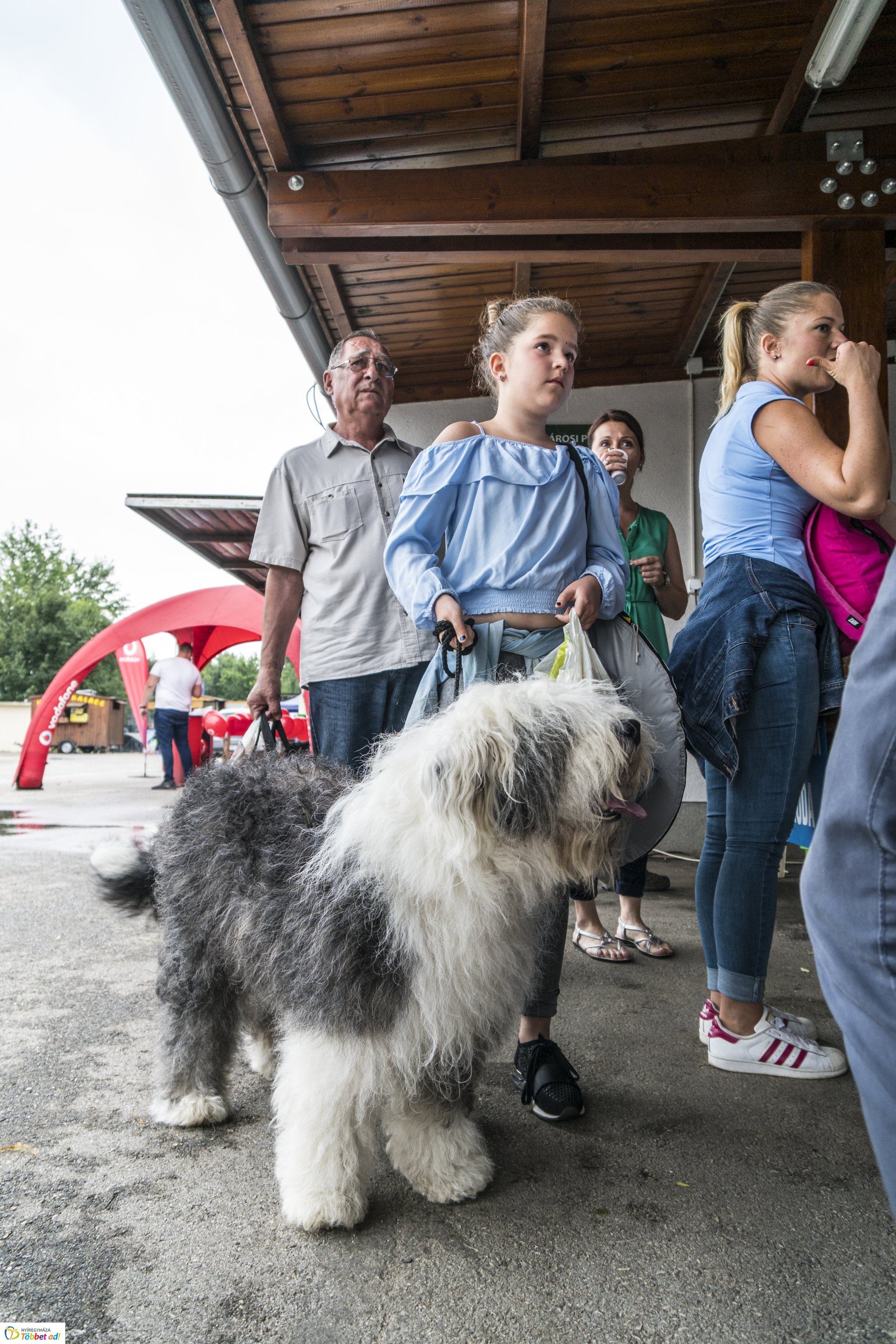 CAC Kutyakiállítás