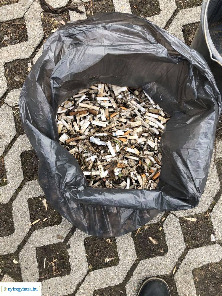 Cigicsikkmentes Magyarország