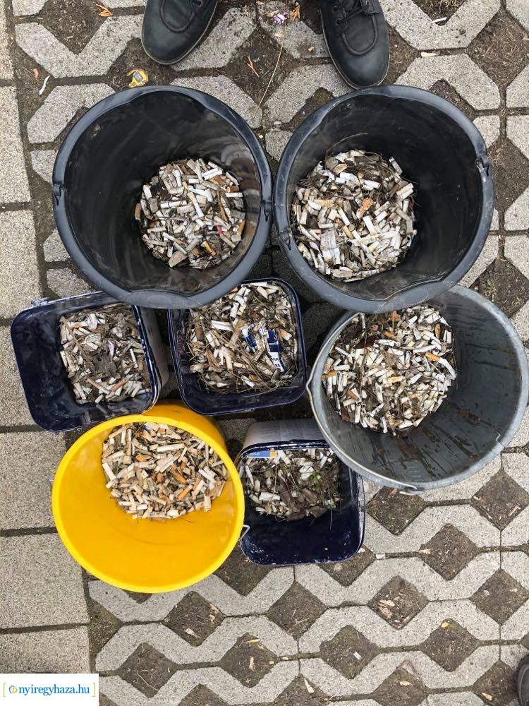 Cigicsikkmentes Magyarország