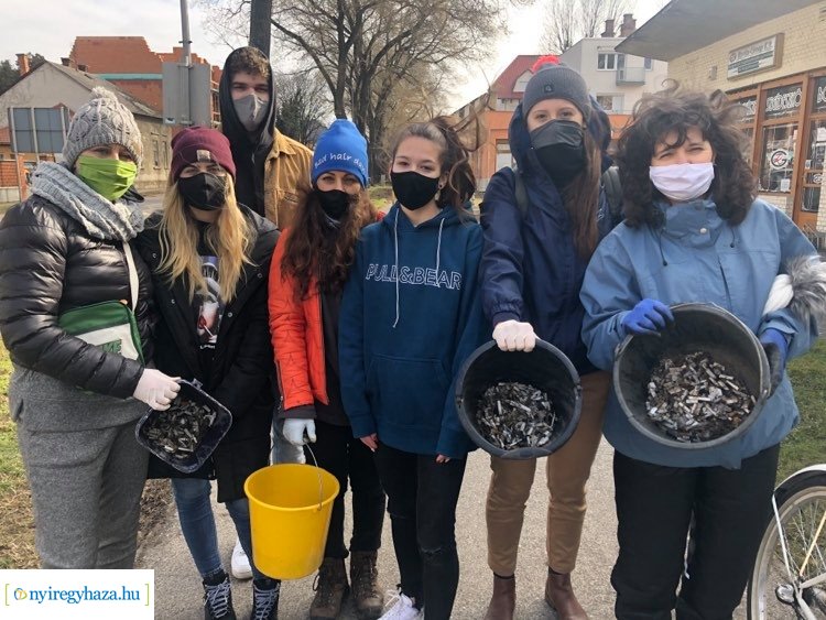 Cigicsikkmentes Magyarország