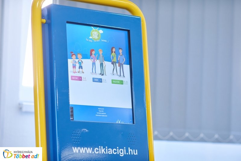 Ciki a cigi program