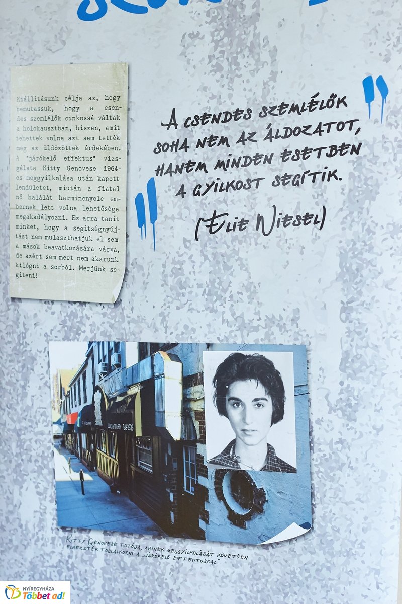 Cinkos, aki néma - kiállítás a Bethlen Gábor iskolában