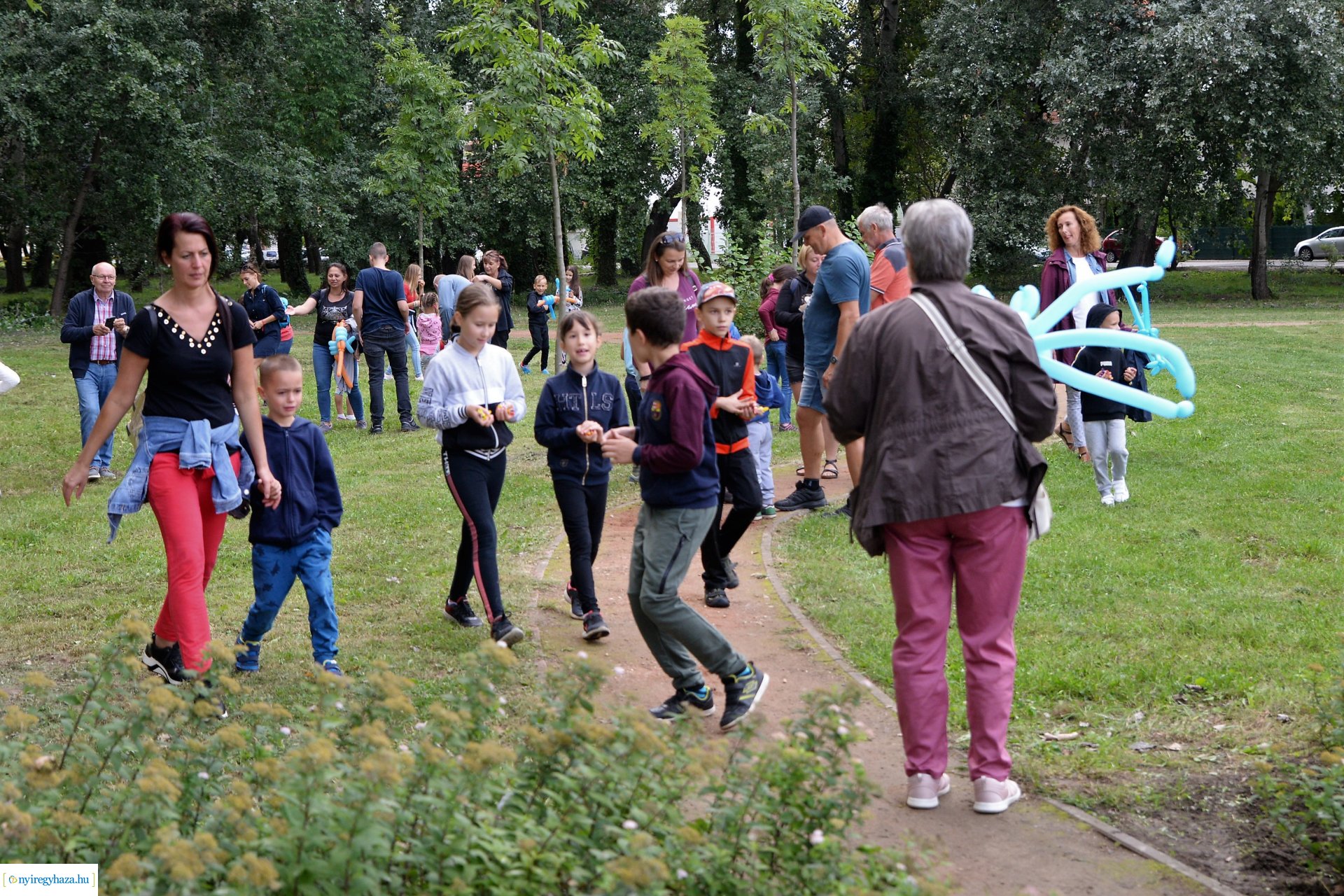 Családi délután a Kiserdőben