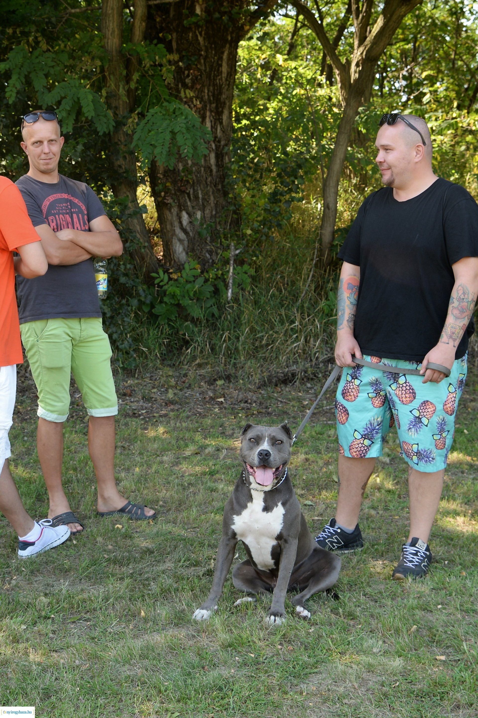 Családi nap Nyírszőlős