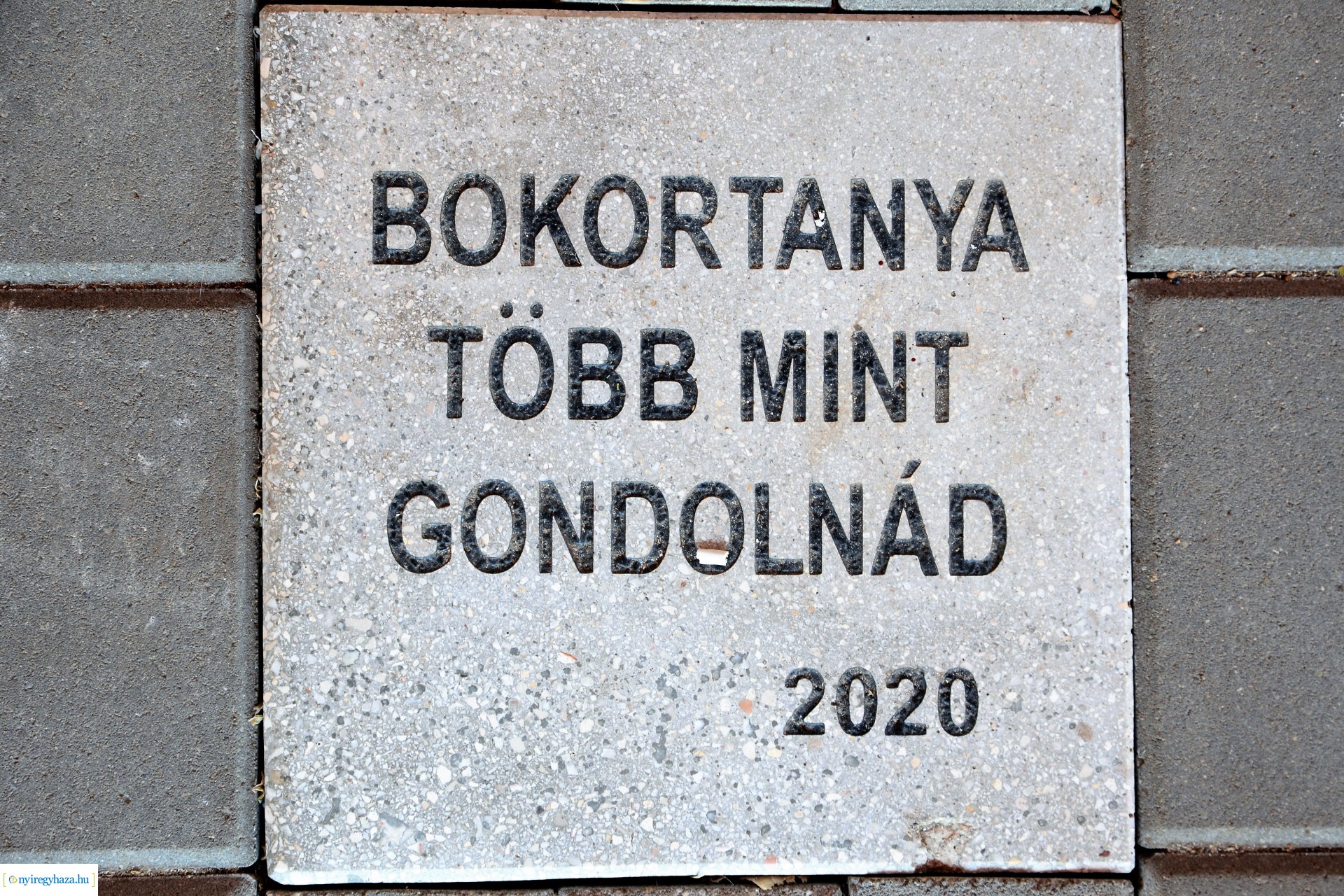 Császárliget - közösségi tér átadás