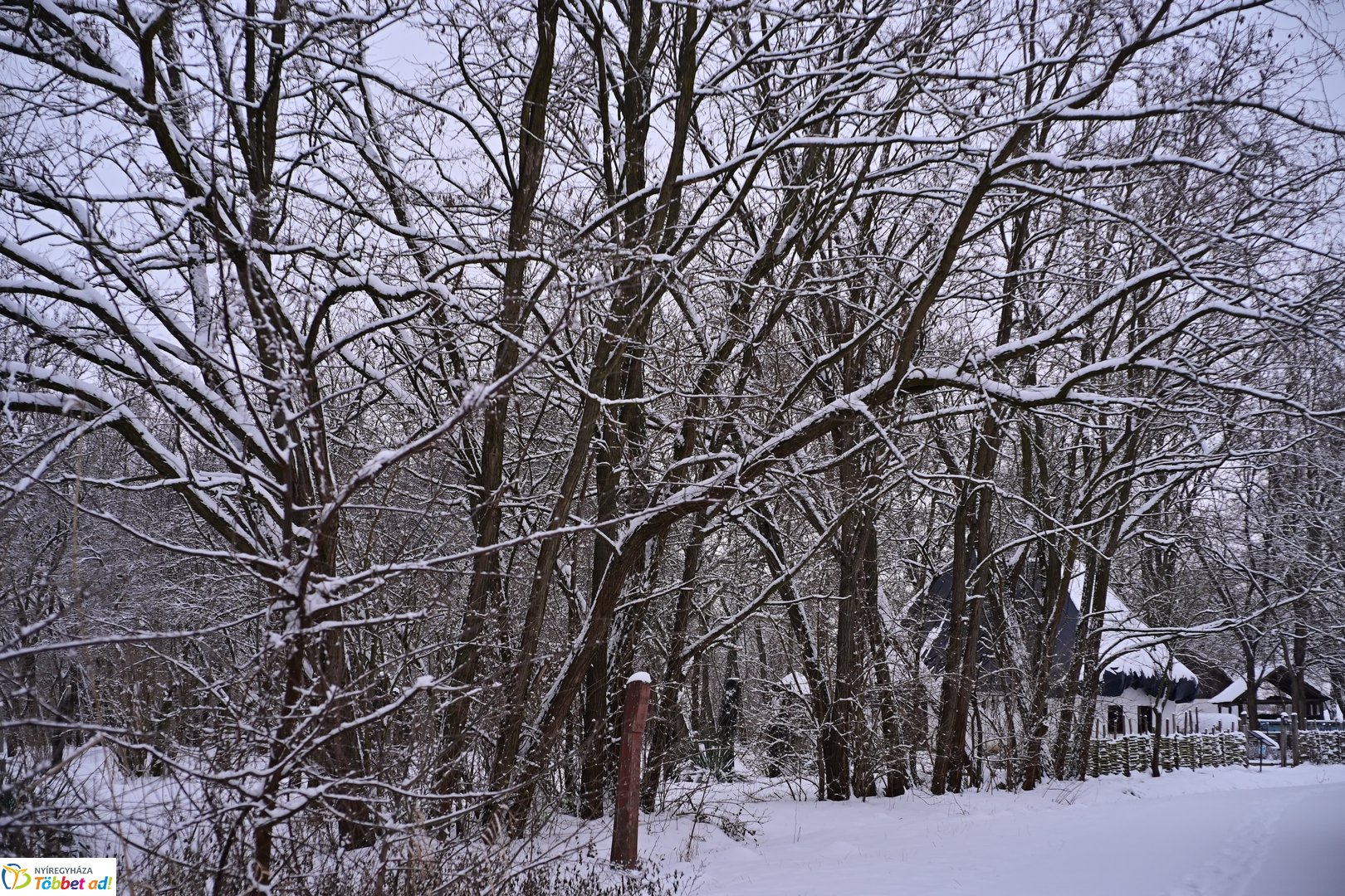 Csendélet a múzeumfaluban 2026 januárjában