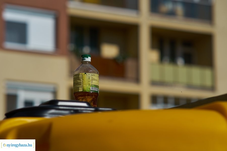 CseppetSem! Program Nyíregyházán