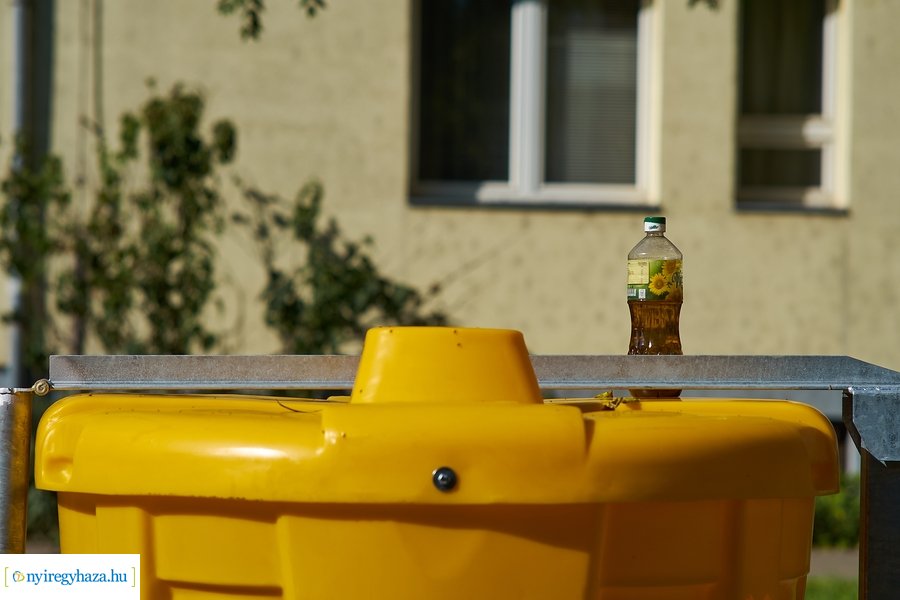 CseppetSem! Program Nyíregyházán