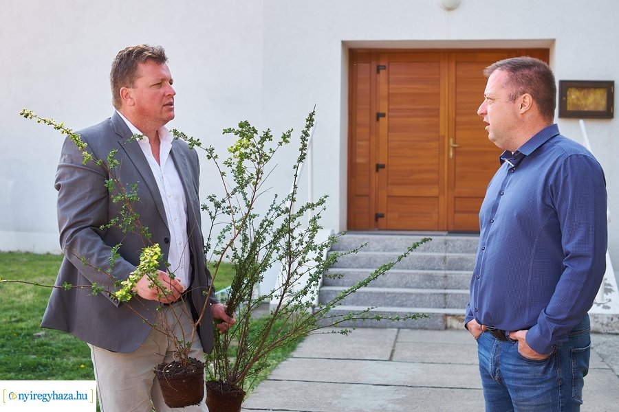 Cserje ültetés a Kállói úton