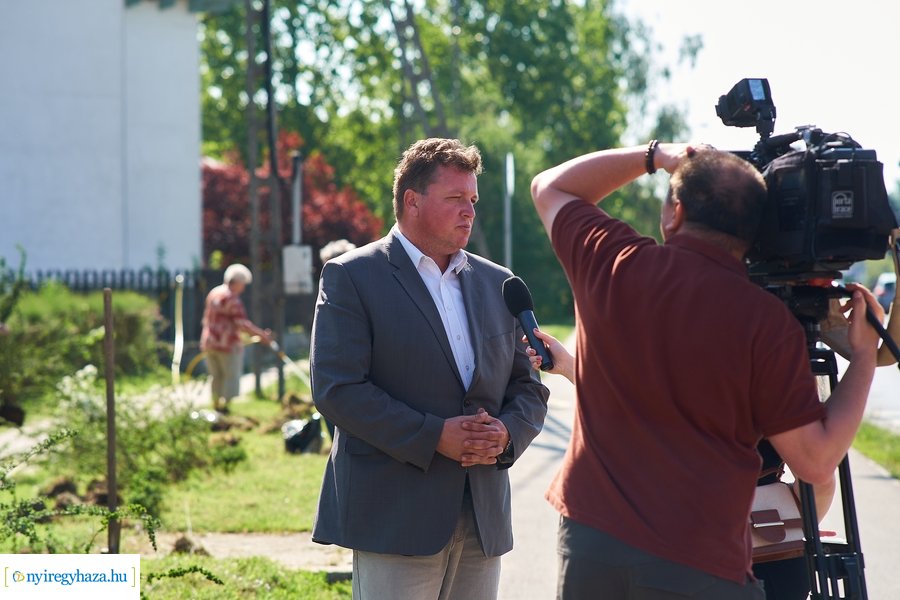 Cserje ültetés a Kállói úton