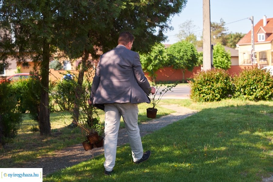 Cserje ültetés a Kállói úton